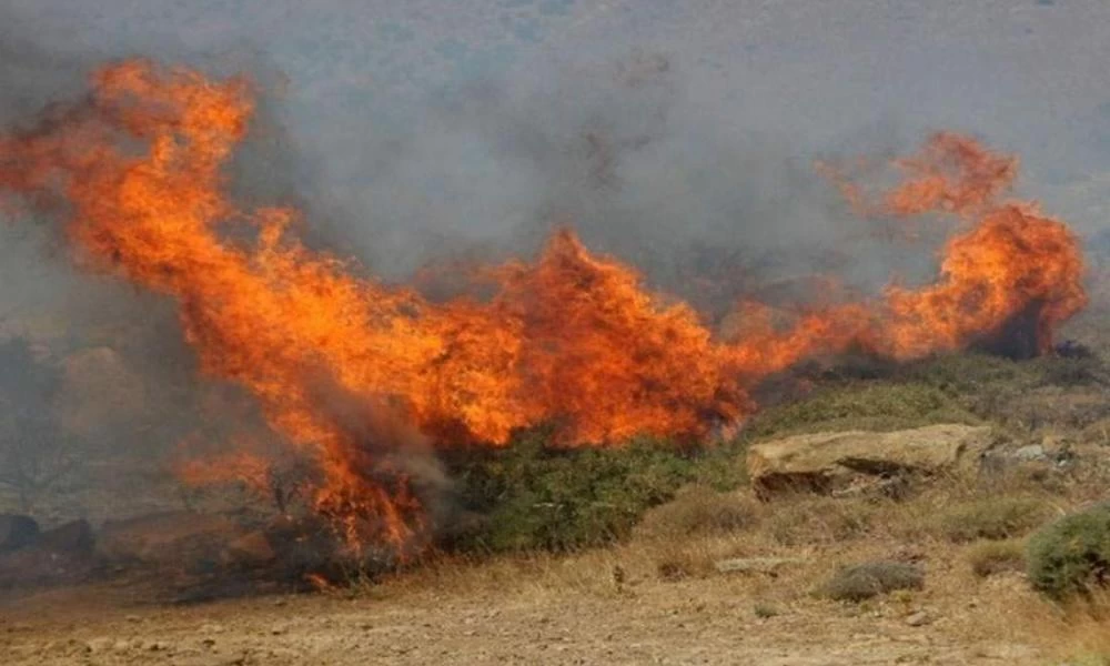 Φωτιά στην Κεφαλονιά: Δύο νέα μέτωπα σε Πεσσάδα και Μεταξάτα